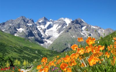 Découvrir les Hautes Alpes en été