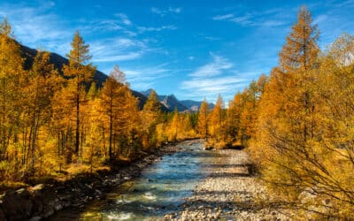 Où admirer le feuillage d’automne dans les Alpes françaises