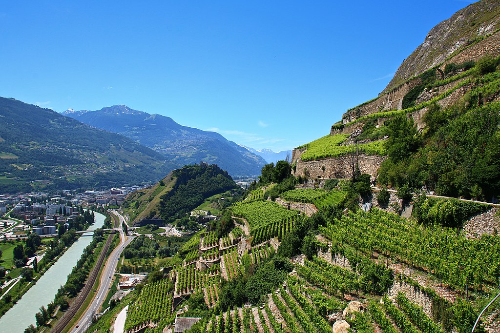 Vignoble en terrasse dans le Valais