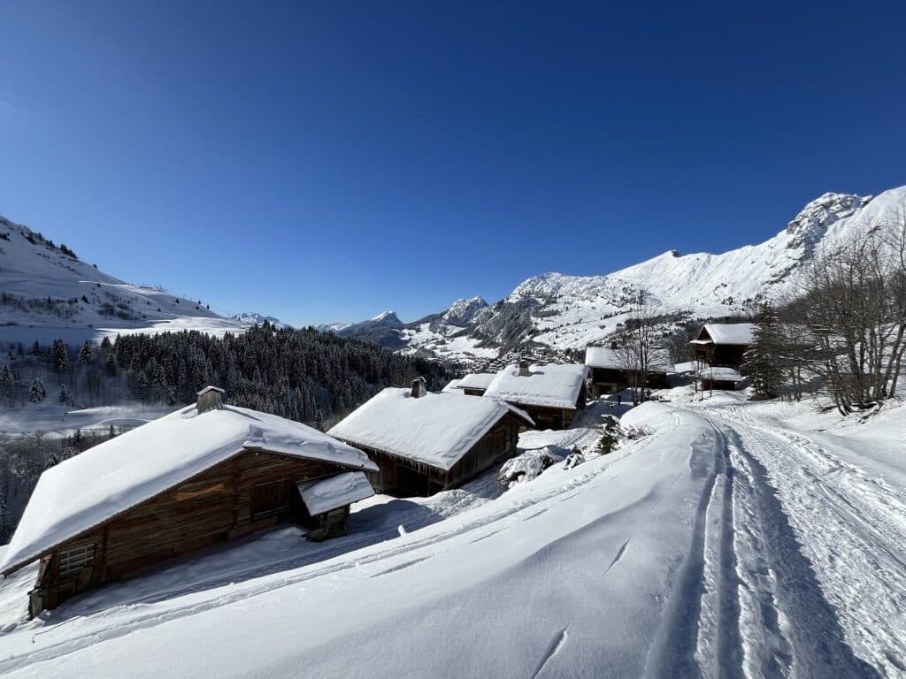 Chinaillon sous la neige