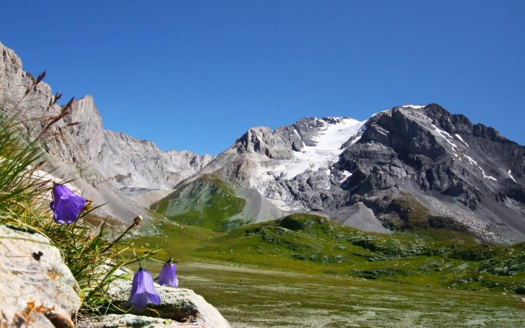 Séjour à la montagne en Savoie