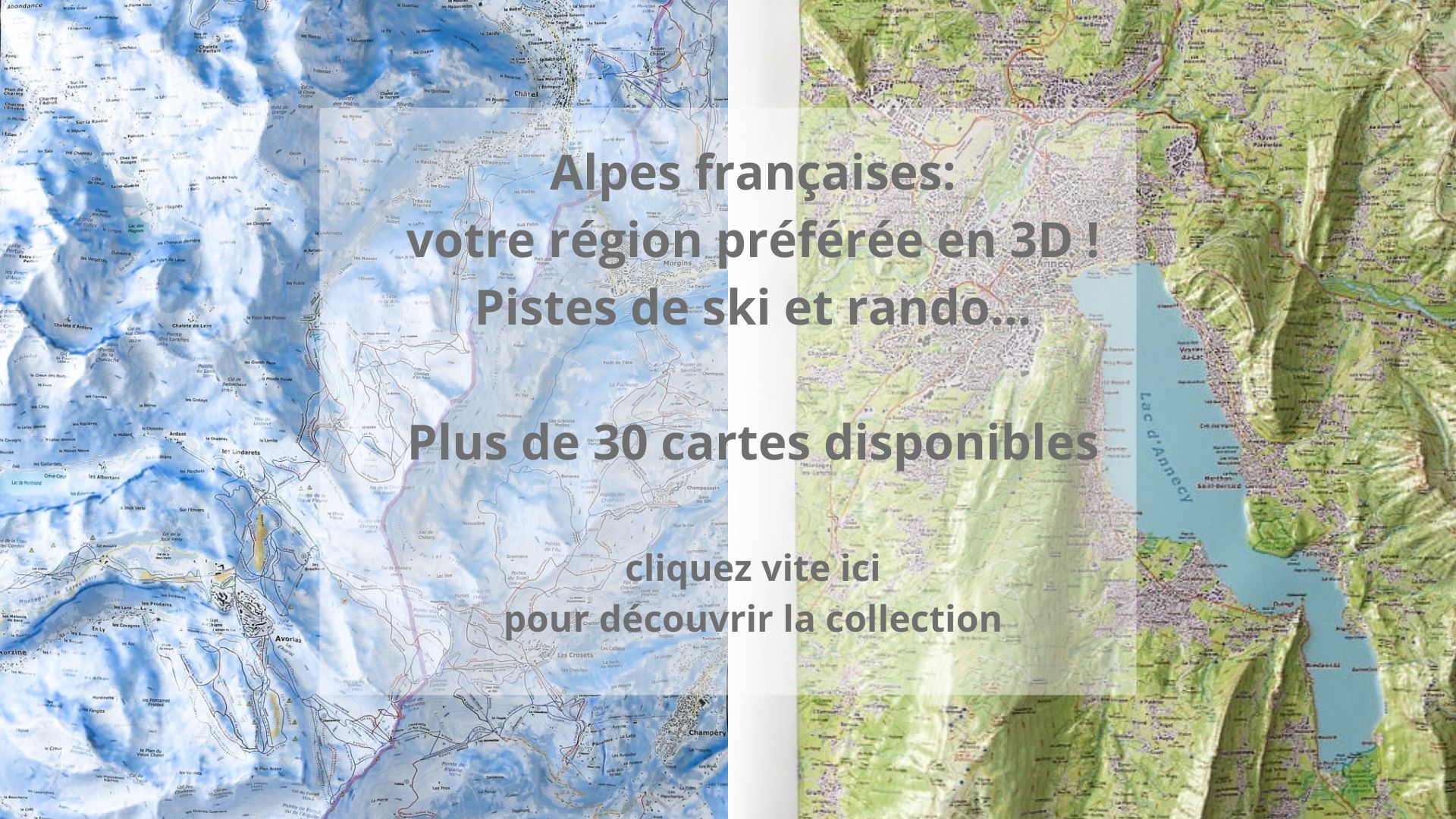 Cartes en relief des Alpes