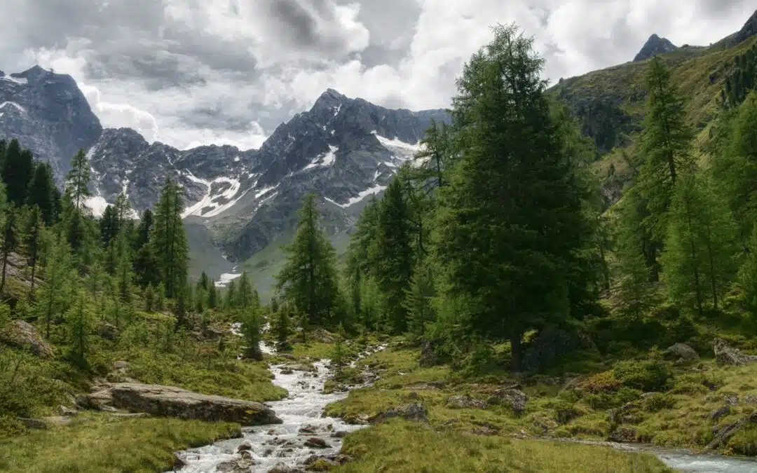 Pitztal au coeur sauvage du tyrol