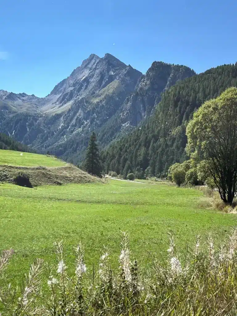 Haute Vallée du Queyras