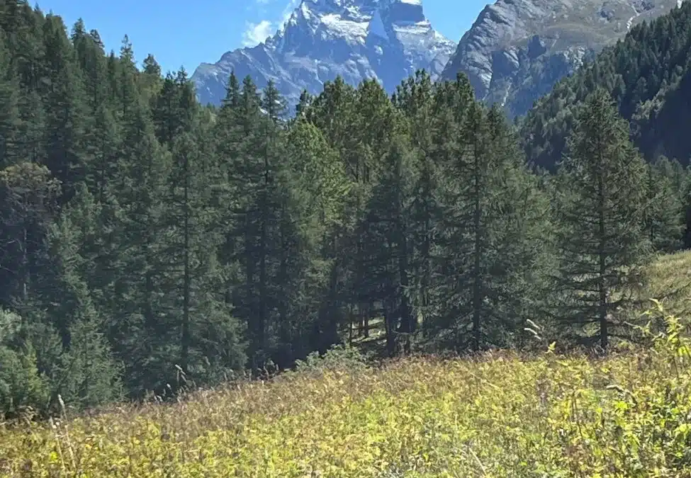Randonnée au pied du Mont Viso