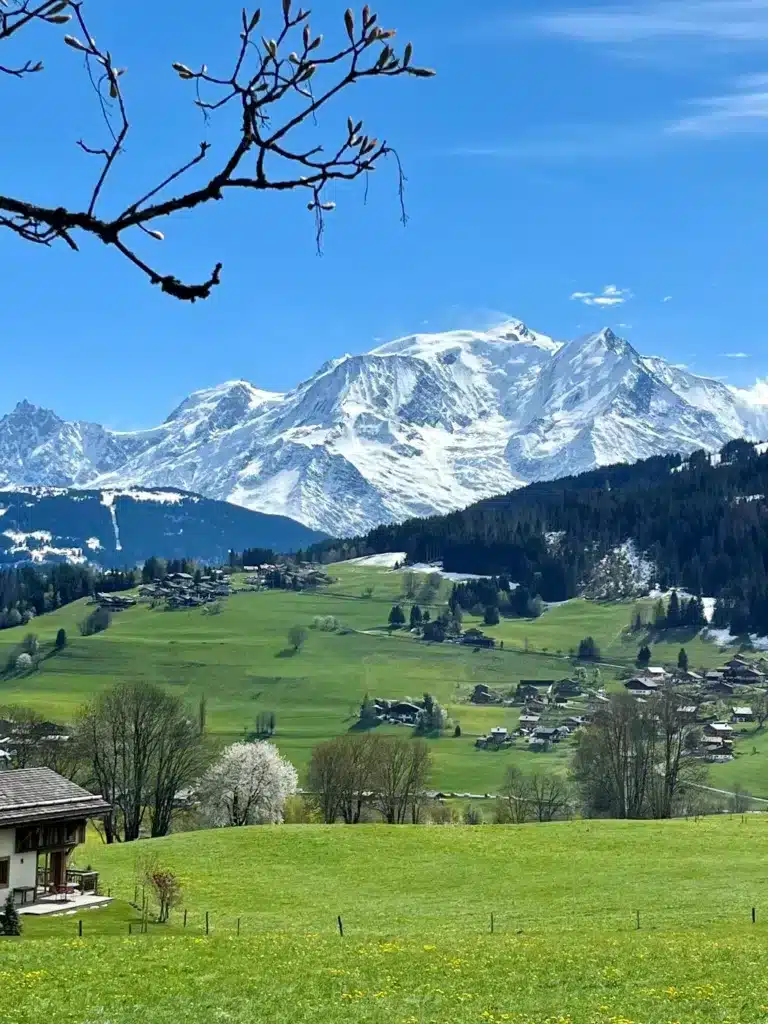 Vue sur le Mont Blanc