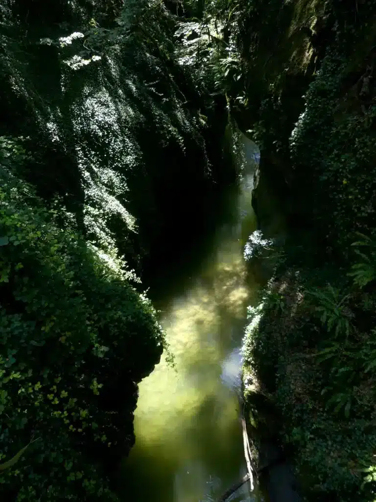 Trouver la fraîcheur aux gorges du Sierroz