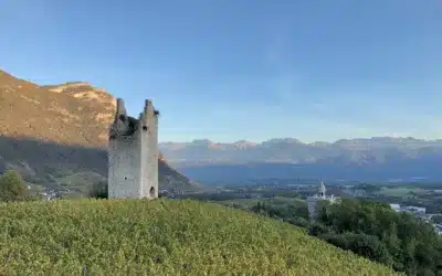 Chignin, les vignobles à deux pas de Chambéry