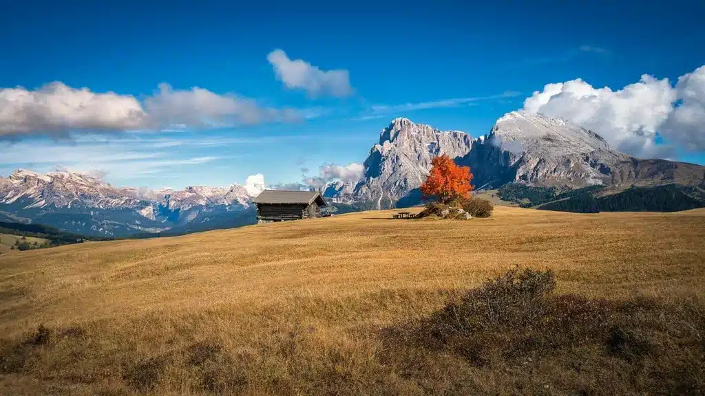 Grands espaces à l'Alpe di Siusi en Automne