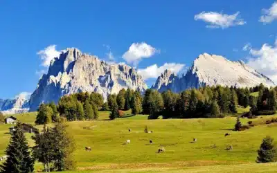 Promenade à travers l’Alpe di Siusi/Seiser Alm, au cœur des Dolomites