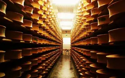 Connaissez-vous les 8 fromages des Pays de Savoie?