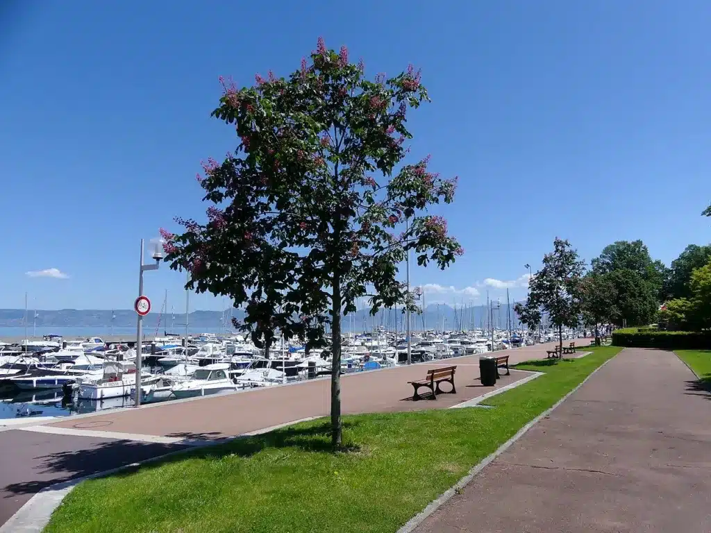 Où se promener au bord du Léman à Evian