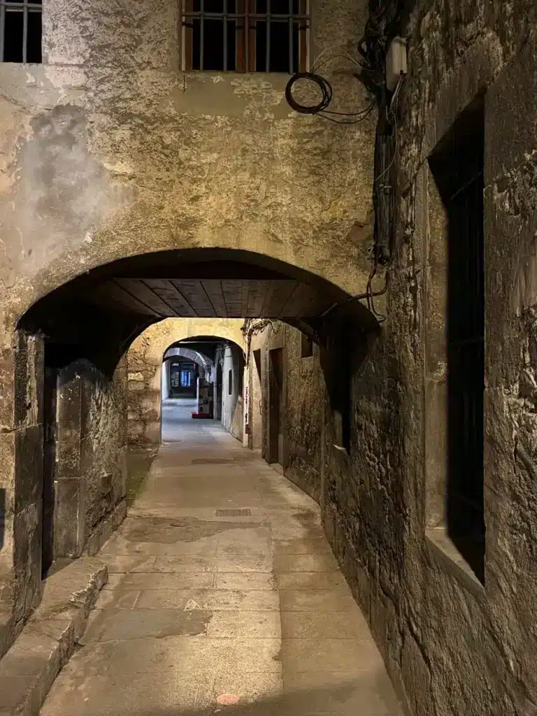 Que sont les allées de Chambéry ?