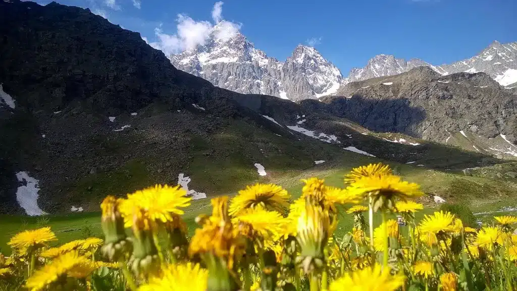 Pian della Regina au pied du Mont Viso