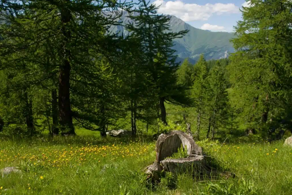 Paysage de la Val Germanasca