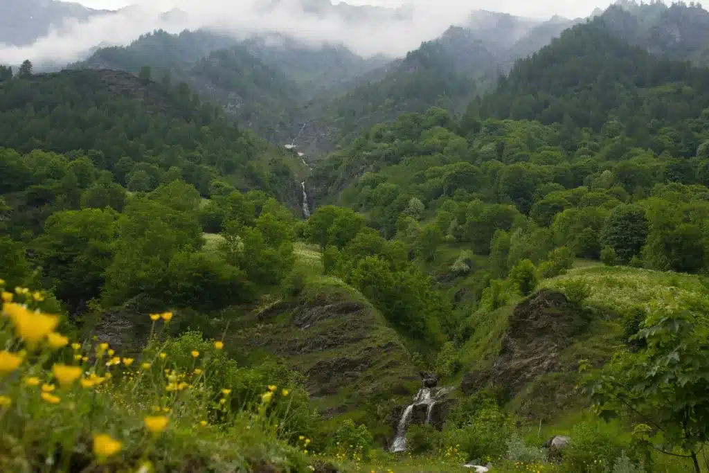 Nature sauvage en Val Germanasca