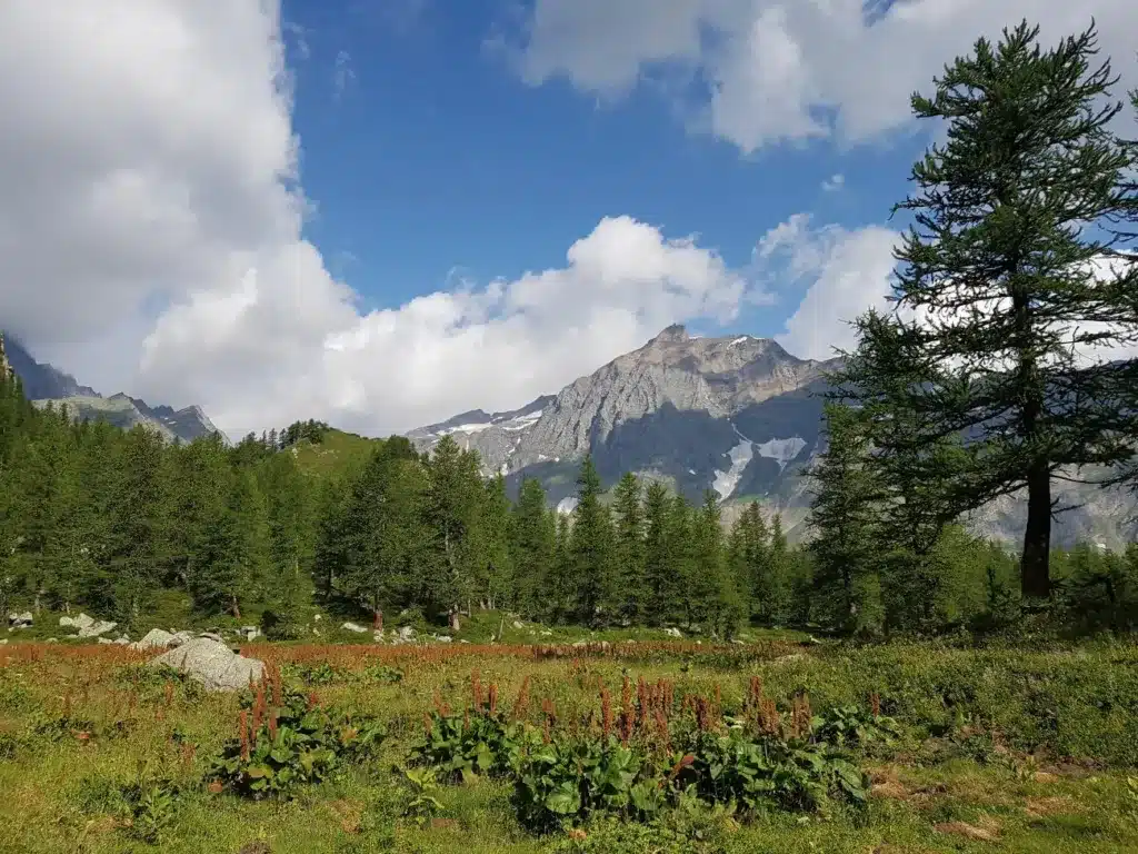Les sommets de la Valle  Stura